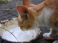 DSCN8635.webp