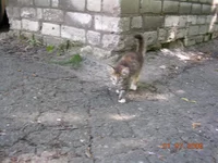 DSCN8637.webp
