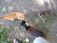 DSCN8639.webp