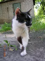 DSCN8645.webp