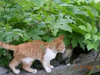 DSCN8647.webp