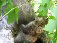 DSCN8649.webp