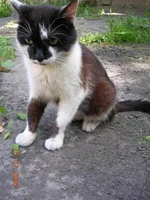 DSCN8650.webp