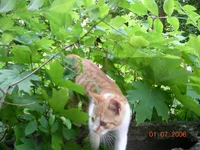 DSCN8651.webp