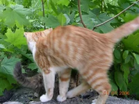 DSCN8652.webp