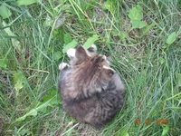 DSCN8659.webp