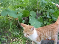 DSCN8665.webp