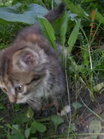 DSCN8666.webp