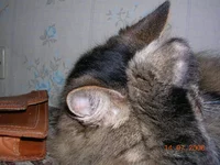 DSCN8899.webp