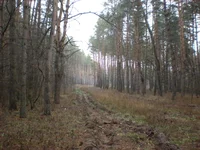 DSCN7424.jpg
