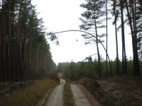 DSCN7427.jpg