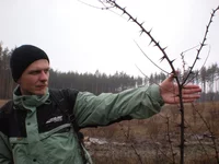 DSCN7429.webp