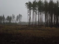 DSCN7438.webp