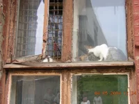 DSCN0081.webp