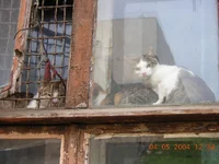 DSCN0082.webp