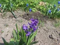 y_7f3553c8.webp