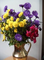 y_96d9277b.webp
