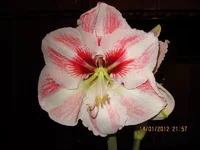 Resize of IMG_0168.webp