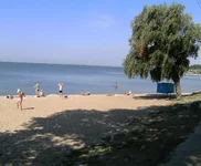 .webp