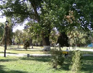  в старой части.webp