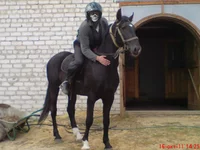 DSC00143.webp