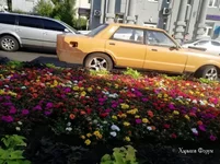 42e663a2e182ecb44c5.webp