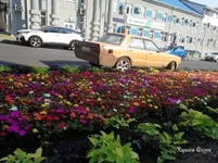0eba3180f4889fcba5.webp