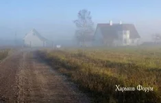 704bc986a908c41bc569.webp