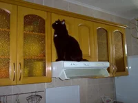 IM000895.webp