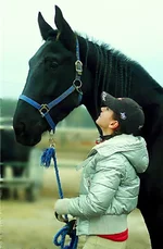 y_23e7e42c.webp