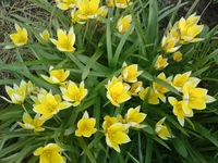 02052011206.webp