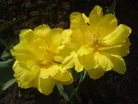 08052011222.webp
