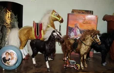 PC020048.webp