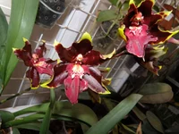 P1173228.webp