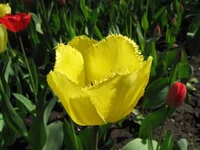 IMG_1299 1.webp