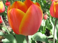 IMG_4858 1.webp