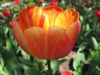 IMG_4860 1.webp
