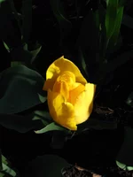 IMG_6525 1.webp