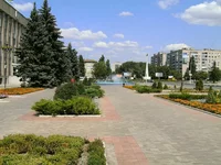 14546466.webp