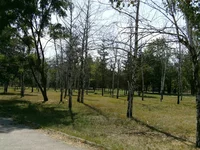 144564.webp