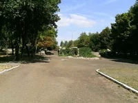 446464.webp
