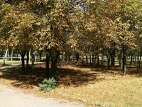 446664.webp