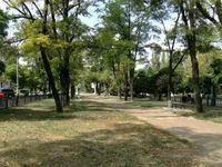114545456.webp