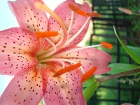 20.07.11 146.webp
