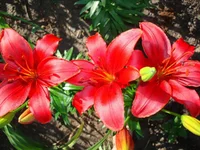 DSC05240.webp
