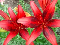 DSC05319.webp