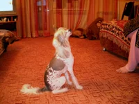 DSCN0148.webp