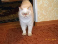 DSCN0152.webp