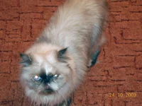 DSCN0155.webp