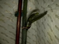 190120121021.webp